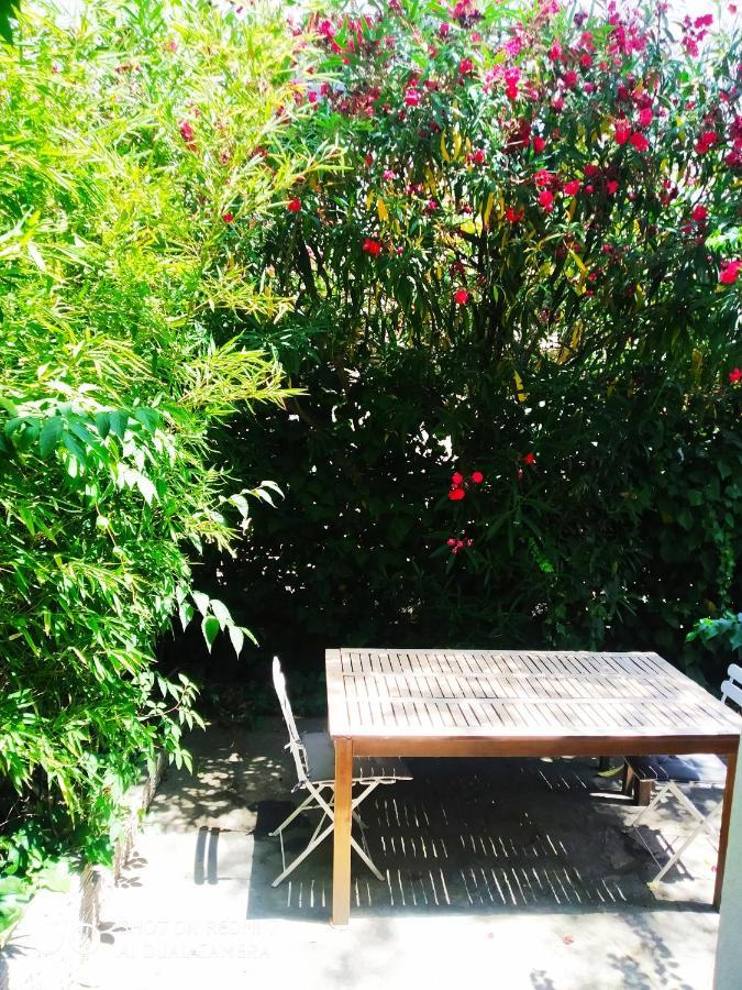 Les Lauriers Roses Διαμέρισμα Ναρμπόν Εξωτερικό φωτογραφία