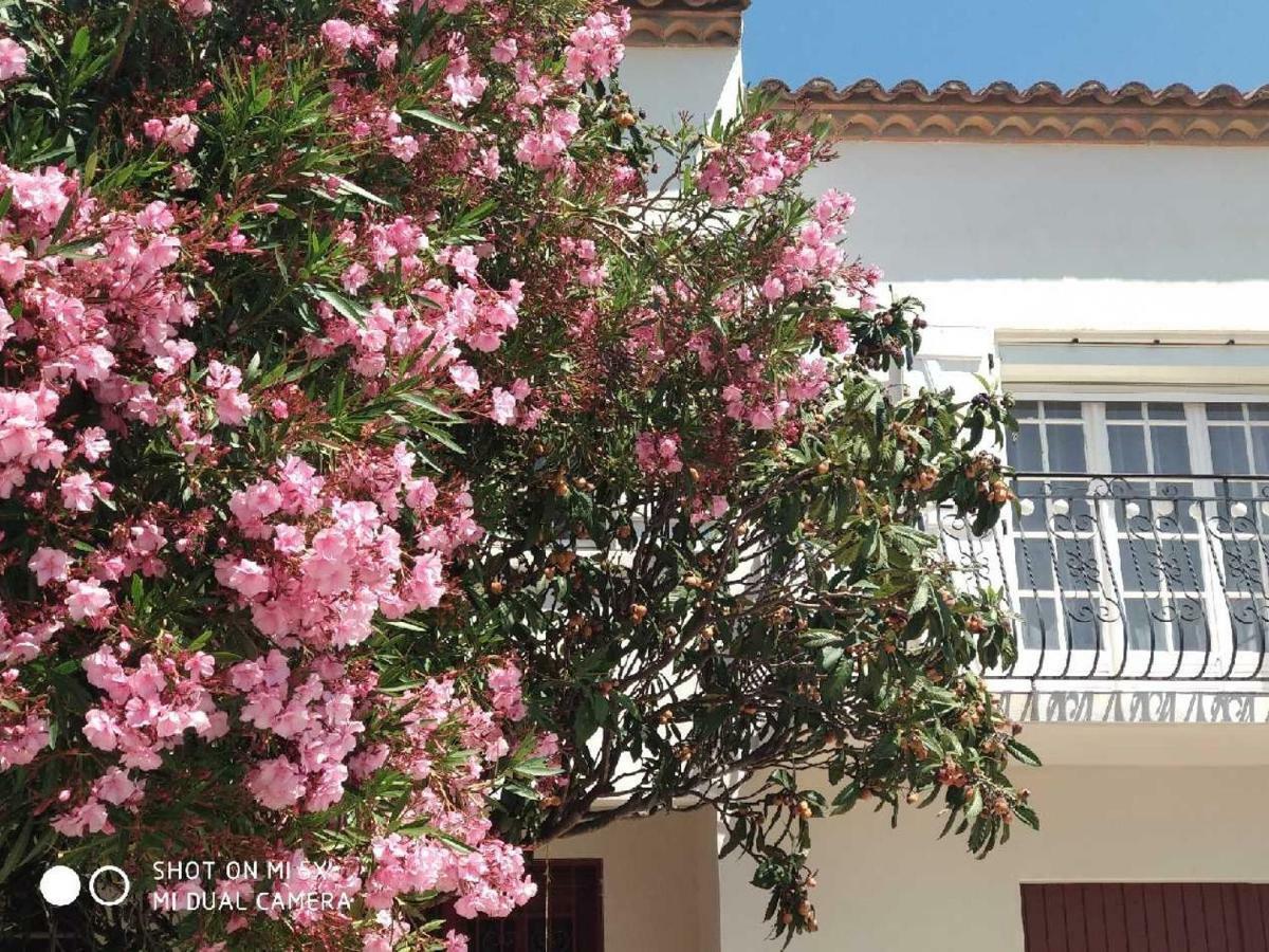 Les Lauriers Roses Διαμέρισμα Ναρμπόν Εξωτερικό φωτογραφία